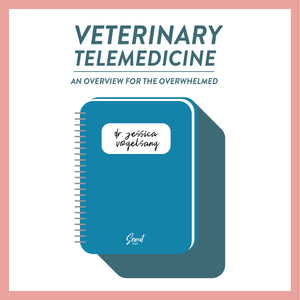 Veterinary Telemedicine: An Overview for the Overwhelmed