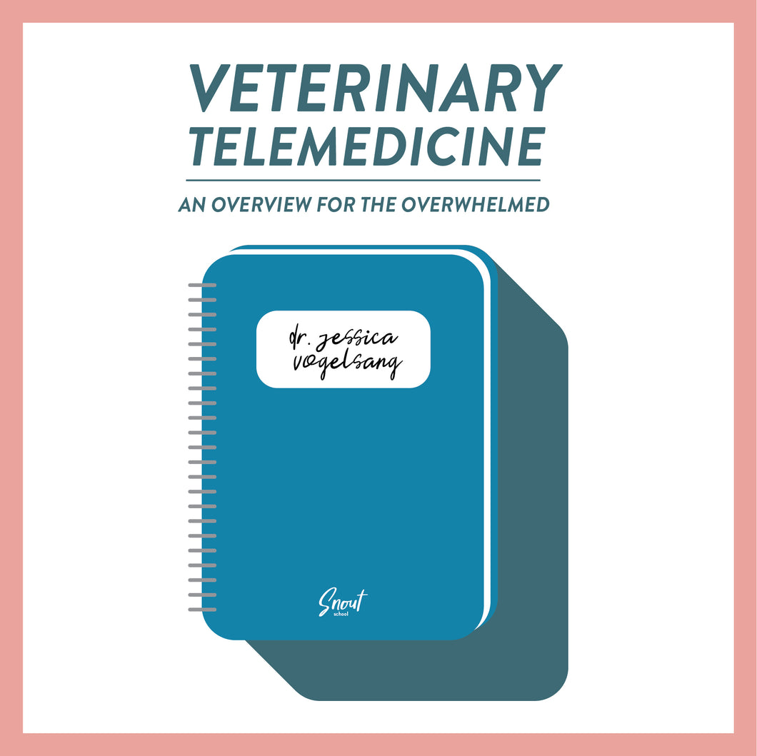 Veterinary Telemedicine: An Overview for the Overwhelmed