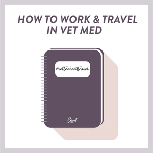 How To Work & Travel in Vet Med